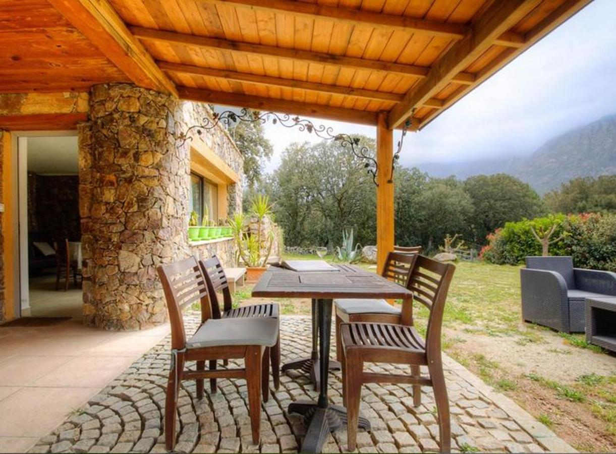 Studio Confortable Avec Vue Sur La Montagne A Moltifao 30M² Jardin Exterior foto