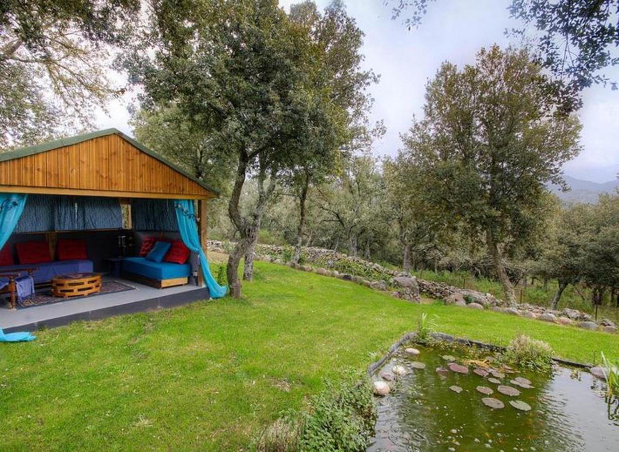 Studio Confortable Avec Vue Sur La Montagne A Moltifao 30M² Jardin Exterior foto