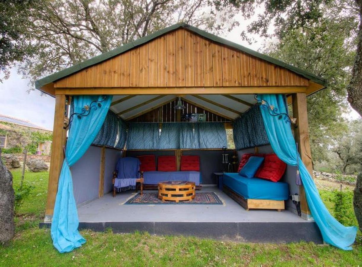 Studio Confortable Avec Vue Sur La Montagne A Moltifao 30M² Jardin Exterior foto